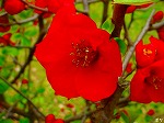 20070309 14.jpg